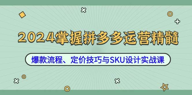 （12703期）2024掌握拼多多运营精髓：爆款流程、定价技巧与SKU设计实战课-云商网创