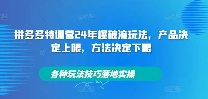 拼多多特训营24年爆破流玩法，产品决定上限，方法决定下限，各种玩法技巧落地实操-云商网创
