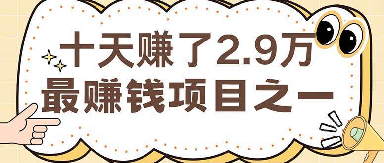 （12491期）闲鱼小红书赚钱项目之一，轻松月入6万+项目-云商网创