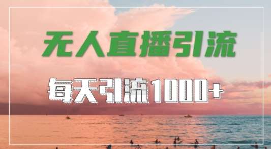 抖音快手视频号全平台通用，无人直播引流法，超暴力引流1000+高质量精准创业粉【揭秘】-云商网创