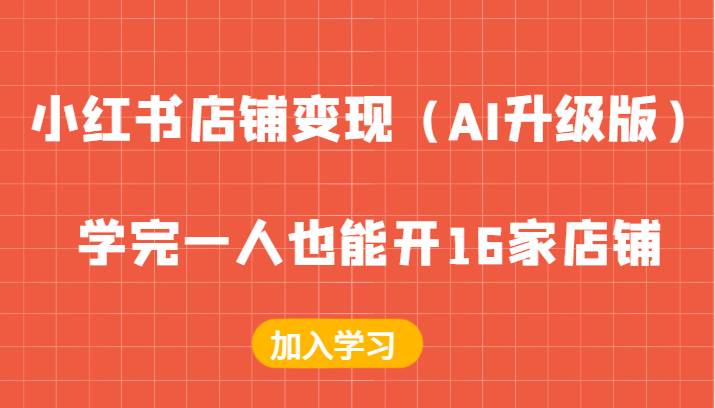 小红书店铺变现（AI升级版），学完一人也能开16家店铺-云商网创