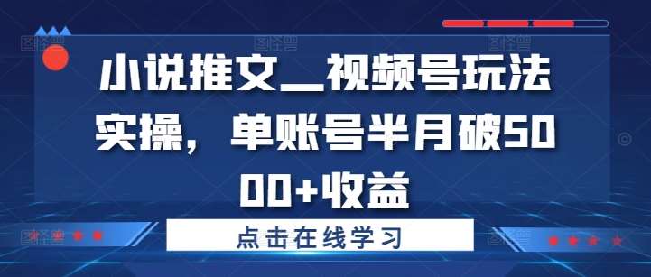 小说推文—视频号玩法实操，单账号半月破5000+收益-云商网创
