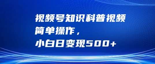 视频号知识科普视频，简单操作，小白日变现500+【揭秘】-云商网创