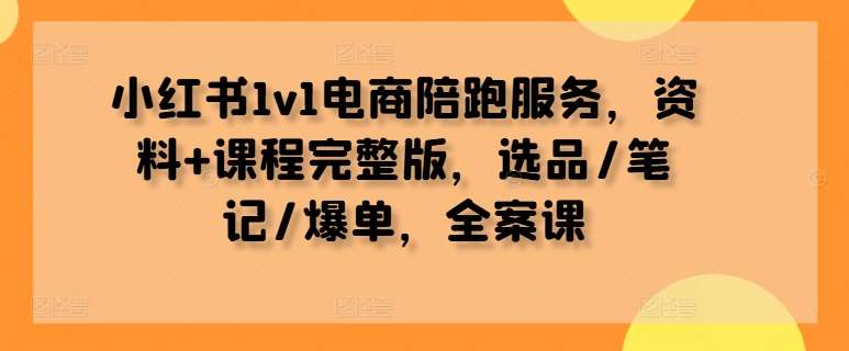 小红书1v1电商陪跑服务，资料+课程完整版，选品/笔记/爆单，全案课-云商网创