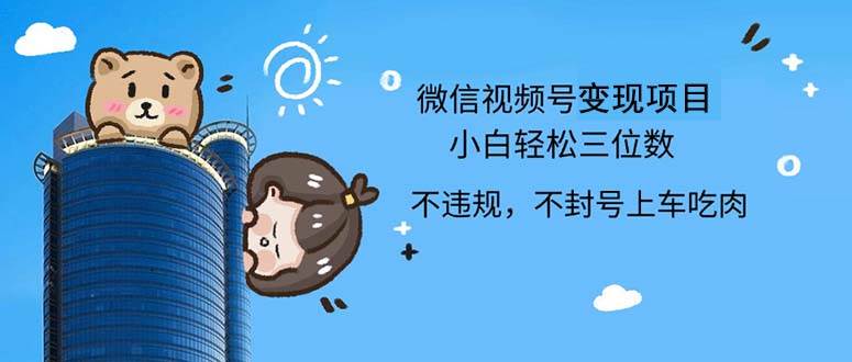 （12660期）2024最新微信视频号，0撸项目，自己玩，小白轻松日入三位数-云商网创