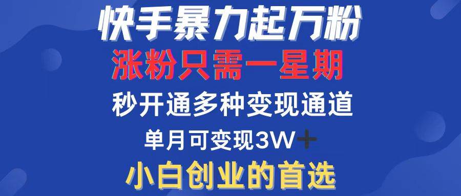 （12651期）快手暴力起万粉，涨粉只需一星期，多种变现模式，直接秒开万合，小白创…-云商网创