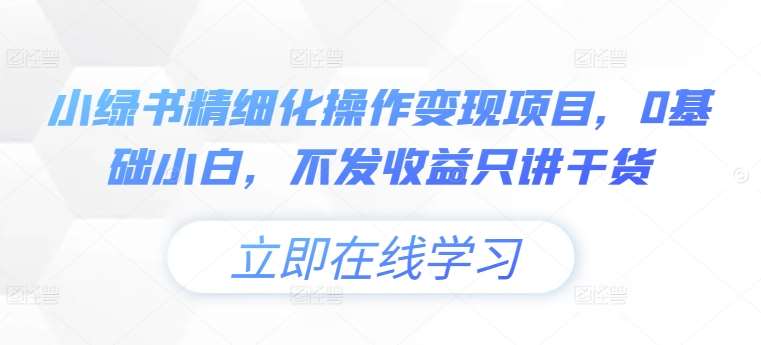 小绿书精细化操作变现项目，0基础小白，不发收益只讲干货-云商网创
