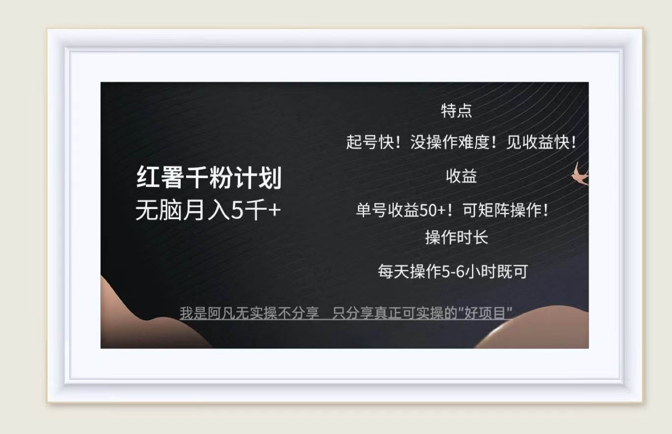 红薯千粉计划无脑月入5千+！既做既赚！-云商网创