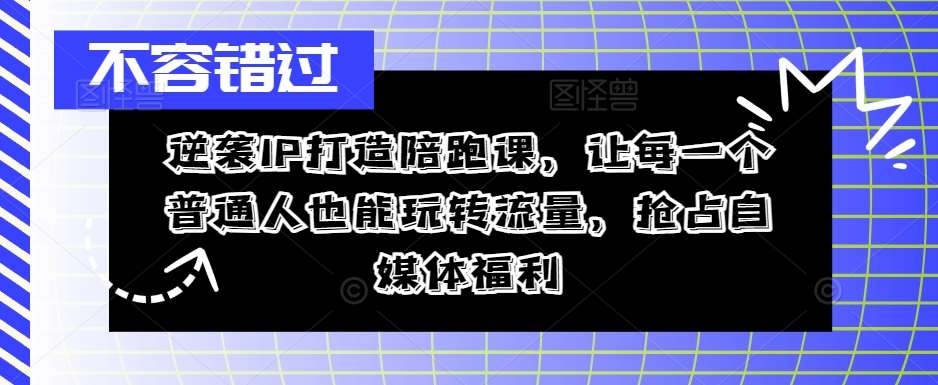 逆袭IP打造陪跑课，让每一个普通人也能玩转流量，抢占自媒体福利-云商网创