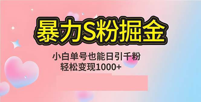 （12778期）单人单机日引千粉，变现1000+，S粉流量掘金计划攻略-云商网创