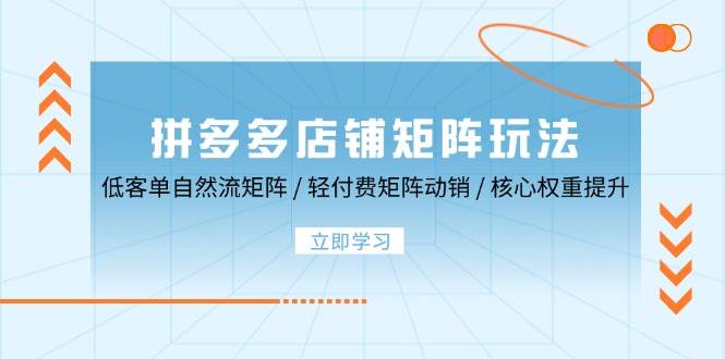 （12720期）拼多多店铺矩阵玩法：低客单自然流矩阵 / 轻付费矩阵 动销 / 核心权重提升-云商网创
