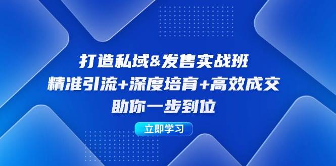 （12642期）打造私域&发售实操班：精准引流+深度培育+高效成交，助你一步到位-云商网创