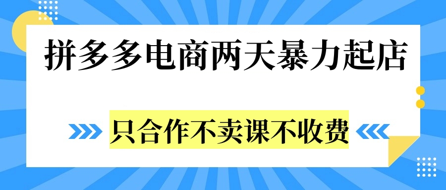 拼多多两天暴力起店，只合作不卖课不收费-云商网创