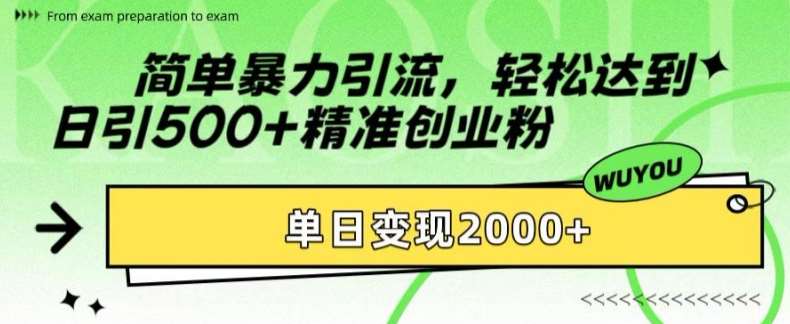 简单暴力引流，轻松达到日引500+精准创业粉，单日变现2k【揭秘】-云商网创
