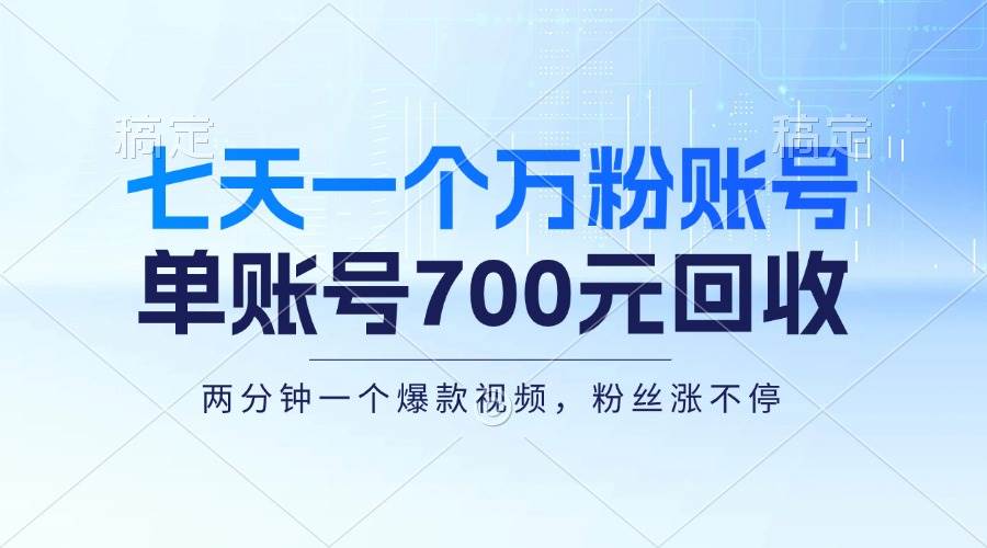 （13062期）七天一个万粉账号，新手小白秒上手，单账号回收700元，轻松月入三万＋-云商网创