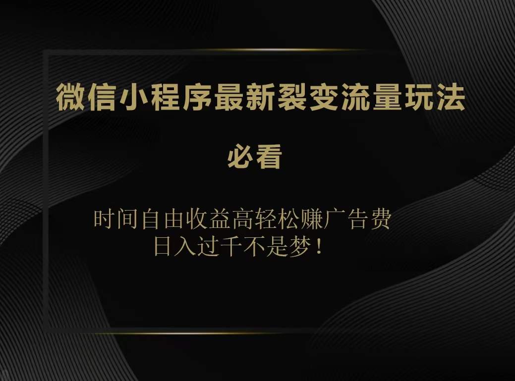 微信小程序最新裂变流量玩法，时间自由收益高轻松赚广告费，日入200-500+-云商网创