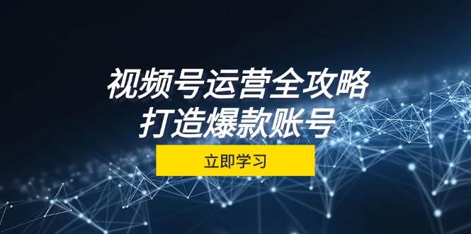 （12912期）视频号运营全攻略，从定位到成交一站式学习，视频号核心秘诀，打造爆款…-云商网创