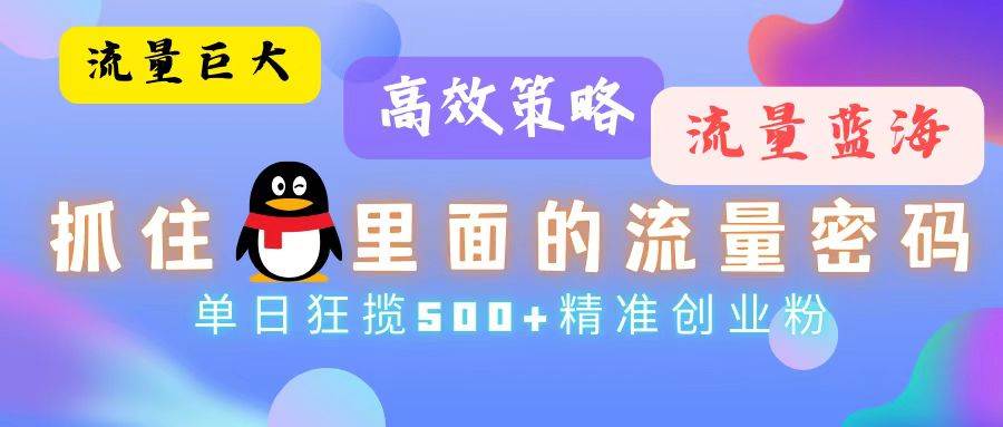 （13068期）流量蓝海，抓住QQ里面的流量密码！高效策略，单日狂揽500+精准创业粉-云商网创
