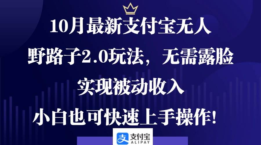 （12824期）10月最新支付宝无人野路子2.0玩法，无需露脸，实现被动收入，小白也可…-云商网创