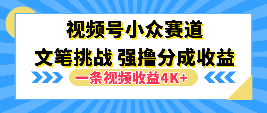 视频号小众赛道，文笔挑战，一条视频收益4K+-云商网创