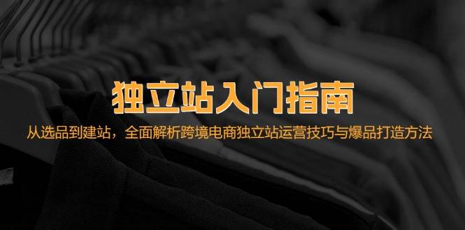 （12882期）独立站入门指南：从选品到建站，全面解析跨境电商独立站运营技巧与爆品…-云商网创