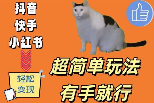 超简单玩法，有手就行，靠猫咪视频日入500+【揭秘】-云商网创