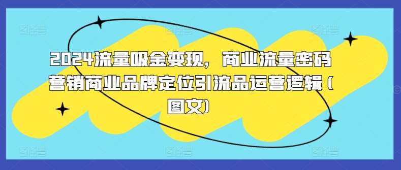 2024流量吸金变现，商业流量密码营销商业品牌定位引流品运营逻辑(图文)-云商网创