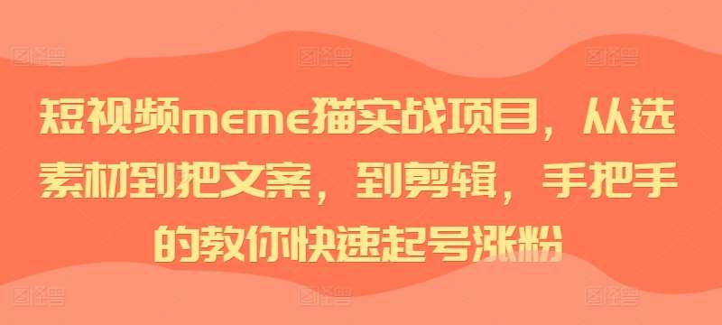 短视频meme猫实战项目，从选素材到把文案，到剪辑，手把手的教你快速起号涨粉-云商网创
