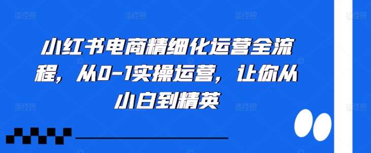 小红书电商精细化运营全流程，从0-1实操运营，让你从小白到精英-云商网创