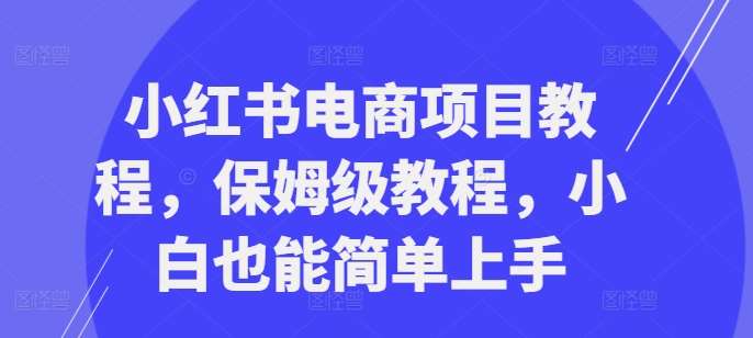 小红书电商项目教程，保姆级教程，小白也能简单上手-云商网创