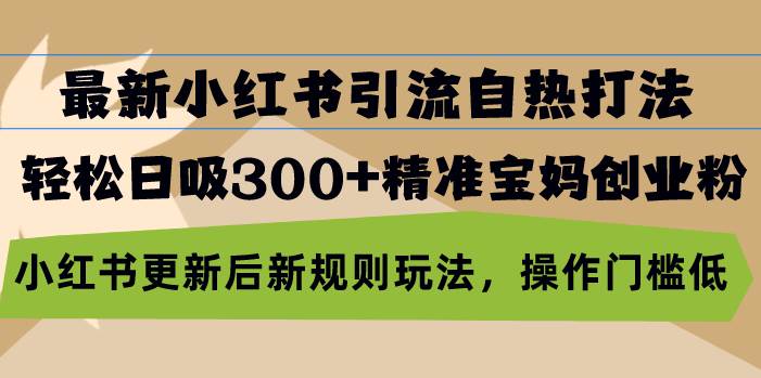 （13145期）最新小红书引流自热打法，轻松日吸300+精准宝妈创业粉，小红书更新后新…-云商网创