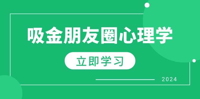 （12899期）朋友圈吸金心理学：揭秘心理学原理，增加业绩，打造个人IP与行业权威-云商网创