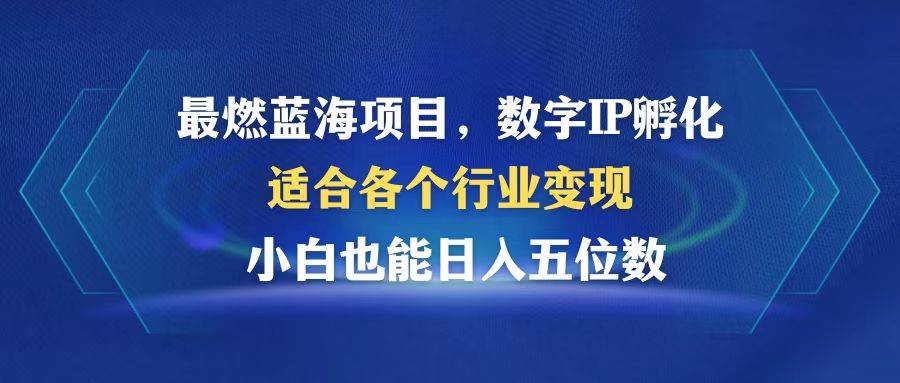 （12941期）最燃蓝海项目  数字IP孵化  适合各个行业变现  小白也能日入5位数-云商网创