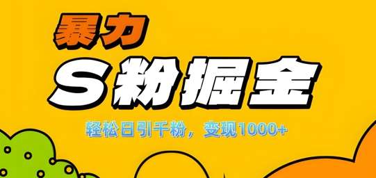 单人单机日引千粉，变现1k+，S粉流量掘金计划攻略【揭秘】-云商网创