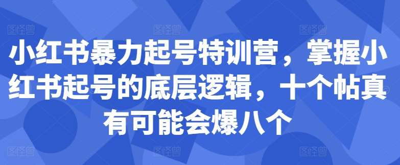 小红书暴力起号特训营，掌握小红书起号的底层逻辑，十个帖真有可能会爆八个-云商网创