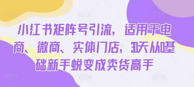 小红书矩阵号引流，适用于电商、微商、实体门店，30天从0基础新手蜕变成卖货高手-云商网创