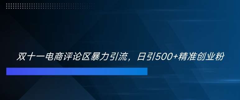 双十一电商评论区暴力引流，日引500+精准创业粉【揭秘】-云商网创