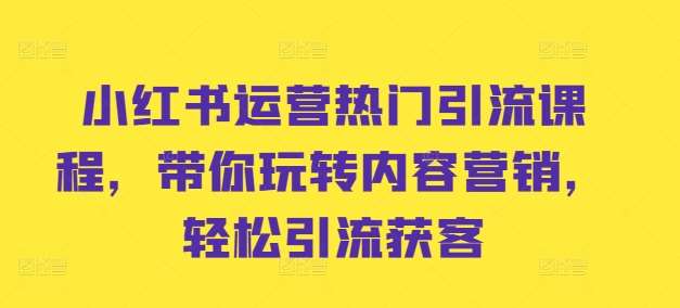 小红书运营热门引流课程，带你玩转内容营销，轻松引流获客-云商网创