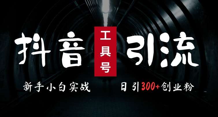 2024最新抖音工具号引流玩法，高效日引300+创业粉，当天变现5k，小白也可成为实战高手-云商网创