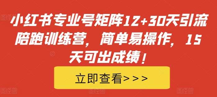 小红书专业号矩阵12+30天引流陪跑训练营，简单易操作，15天可出成绩!-云商网创