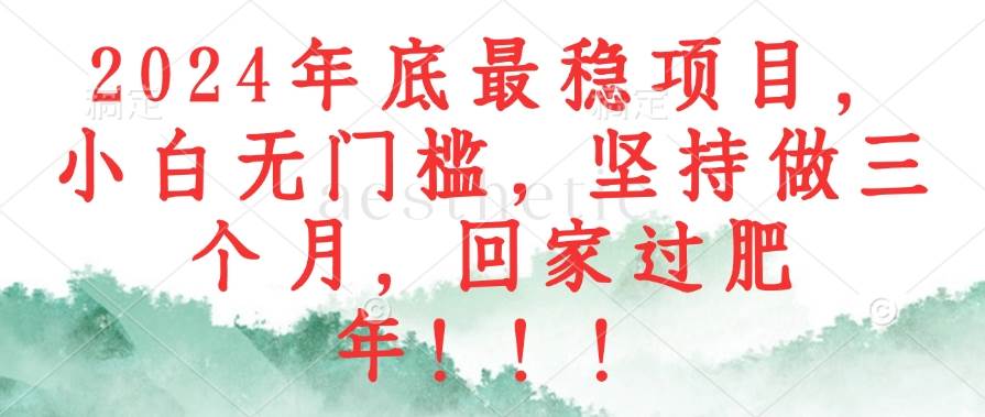 （12970期）2024年底最稳项目，小白无门槛，坚持做三个月，回家过肥年！！！-云商网创