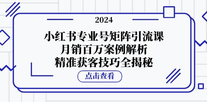 小红书专业号矩阵引流课，月销百万案例解析，精准获客技巧全揭秘-云商网创