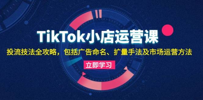 （13063期）TikTok小店运营课：投流技法全攻略，包括广告命名 扩量手法及市场运营方法-云商网创