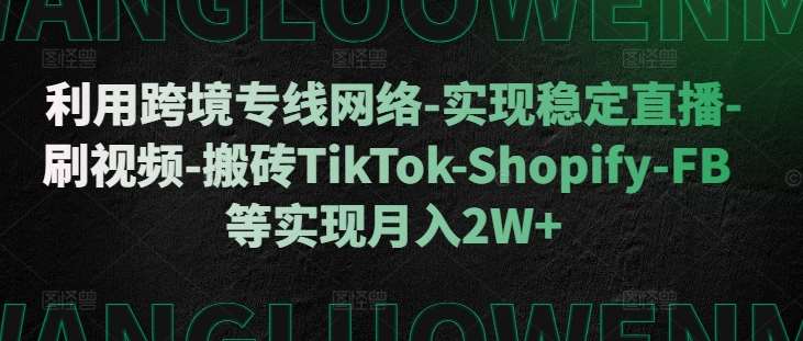 利用跨境专线网络-实现稳定直播-刷视频-搬砖TikTok-Shopify-FB等实现月入2W+【揭秘】-云商网创