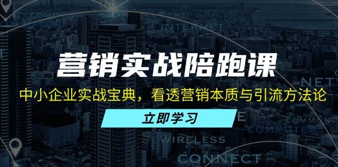 （13146期）营销实战陪跑课：中小企业实战宝典，看透营销本质与引流方法论-云商网创
