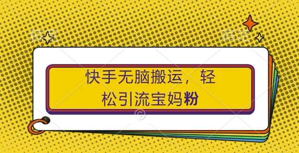 快手无脑搬运，轻松引流宝妈粉，纯小白轻松上手【揭秘】-云商网创