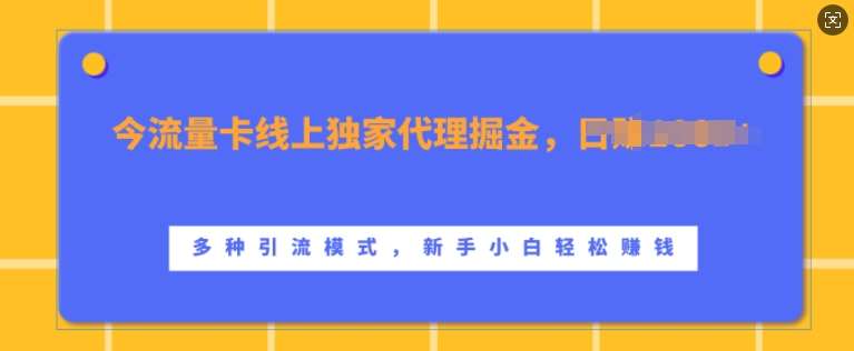 流量卡线上独家代理掘金，日入1k+ ，多种引流模式，新手小白轻松上手【揭秘】-云商网创