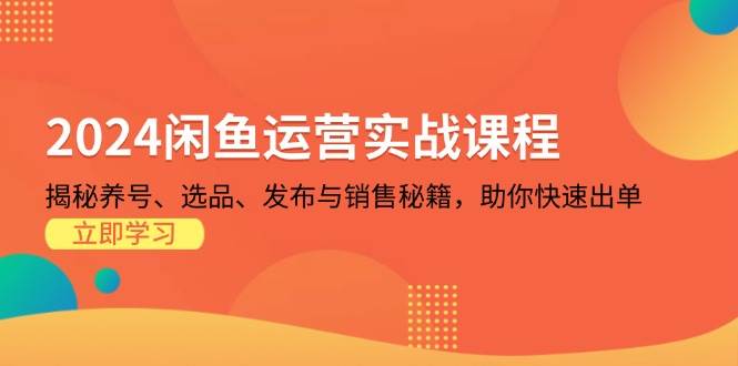 （13290期）2024闲鱼运营实战课程：揭秘养号、选品、发布与销售秘籍，助你快速出单-云商网创