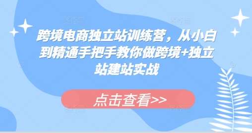 跨境电商独立站训练营，从小白到精通手把手教你做跨境+独立站建站实战-云商网创