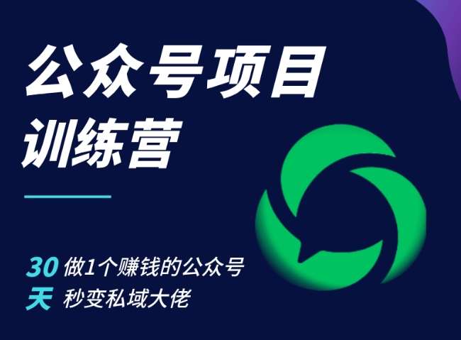 公众号项目训练营，30天做1个赚钱的公众号，秒变私域大佬-云商网创